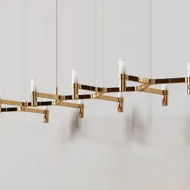 Nemo crownlinea gold